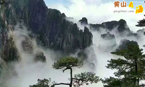 黄山四绝分别是什么？